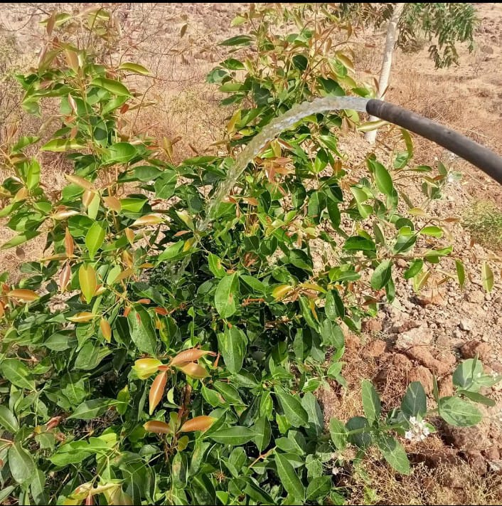 Nagar Region Activity 6