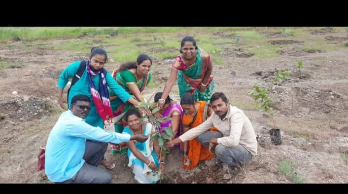 Rural Area Activity 5